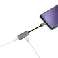 Platinetti PMMAC35 Multimediasovitin Type-C Mini Jack 3,5 mm + Type-C hopea hinta ja tiedot | Adapterit | hobbyhall.fi