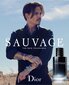 Hajuvesi Christian Dior Sauvage EDT miehille 100 ml hinta ja tiedot | Miesten hajuvedet | hobbyhall.fi