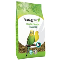 Vadigran siemenseos linnuille Health Seeds 800g hinta ja tiedot | Lintujen ruokinta | hobbyhall.fi
