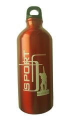 Metallipullo Sport, 600 ml hinta ja tiedot | Juomapullot | hobbyhall.fi