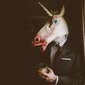 Unicorn naamari, valkoinen hinta ja tiedot | Naamiaisasut | hobbyhall.fi