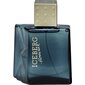 Hajuvesi Iceberg Homme EDT miehille, 100 ml hinta ja tiedot | Miesten hajuvedet | hobbyhall.fi