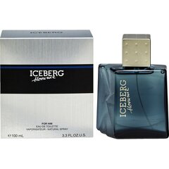 Hajuvesi Iceberg Homme EDT miehille, 100 ml hinta ja tiedot | Miesten hajuvedet | hobbyhall.fi