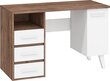 Nordis-kirjoituspöytä, 125 x 57 x 79 cm, ruskea / valkoinen hinta ja tiedot | Tietokonepöydät ja työpöydät | hobbyhall.fi