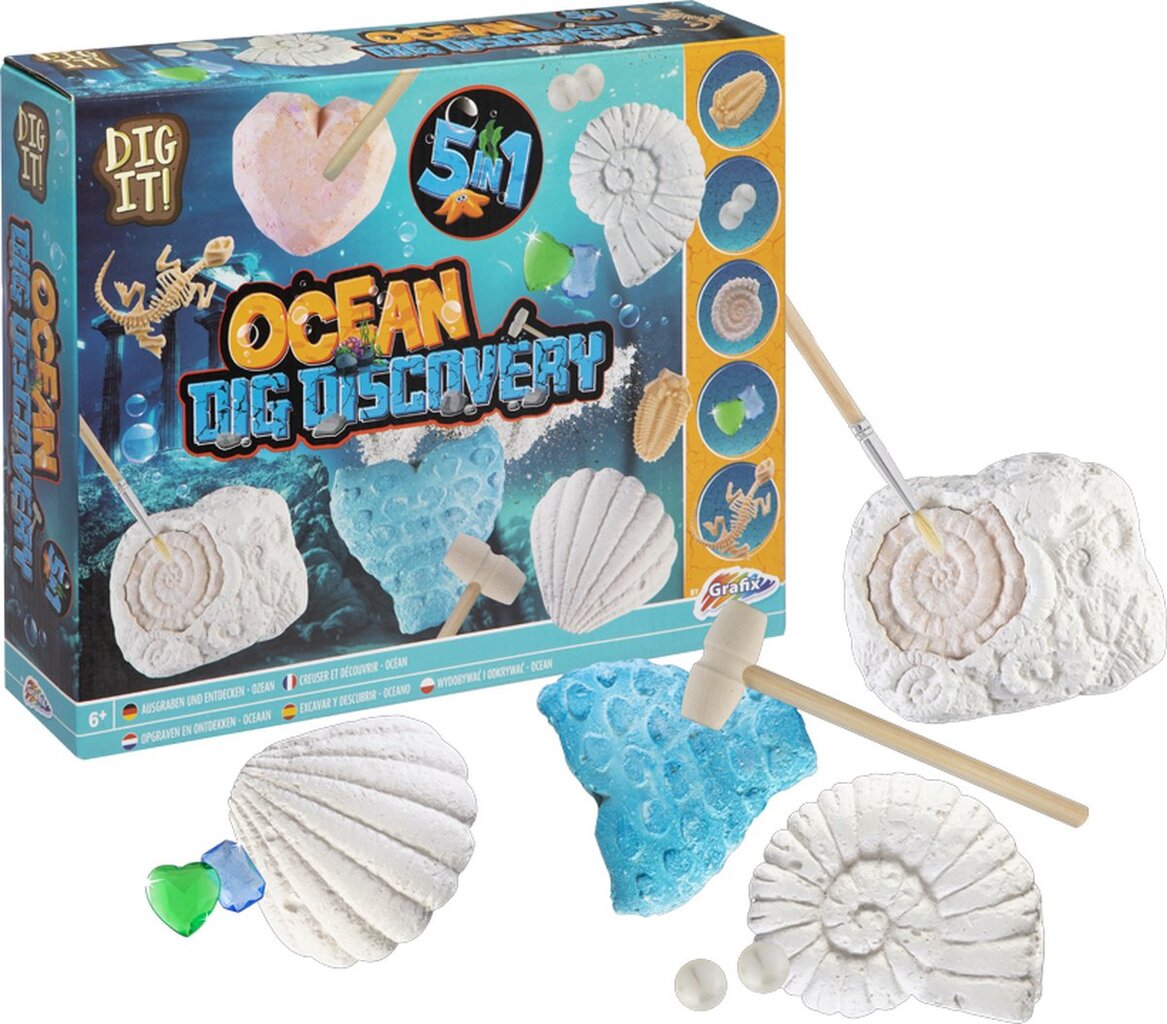 Grafix Ocean 5 in 1 fossiilisetti hinta ja tiedot | Lautapelit ja älypelit | hobbyhall.fi