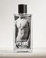 Abercrombie & Fitch Fierce EDC miehelle 100 ml hinta ja tiedot | Miesten hajuvedet | hobbyhall.fi