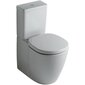 WC-allas Ideal Standard Connect hinta ja tiedot | WC-istuimet | hobbyhall.fi