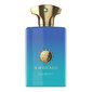 Amouage Figment EDP miehelle 100 ml hinta ja tiedot | Miesten hajuvedet | hobbyhall.fi