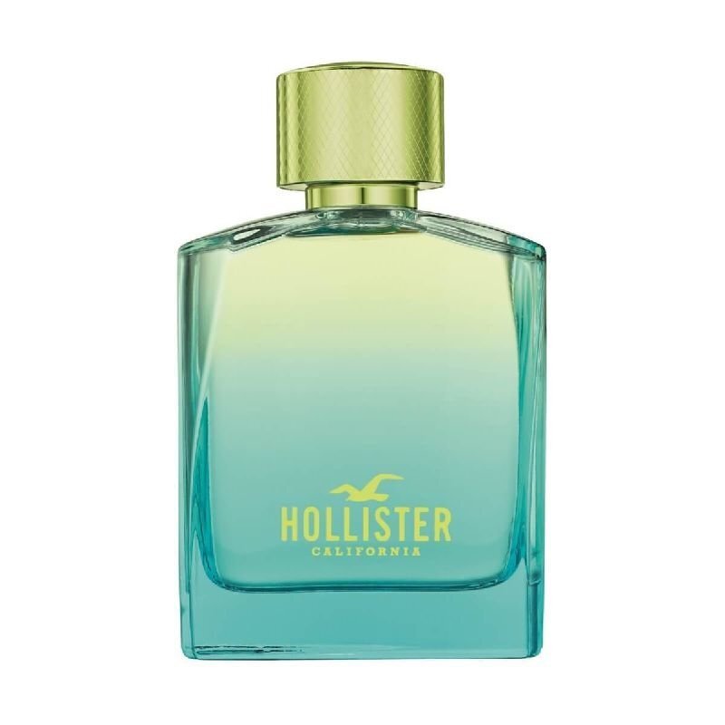 Hollister Wave 2 EDT miehelle 100 ml hinta ja tiedot | Miesten hajuvedet | hobbyhall.fi