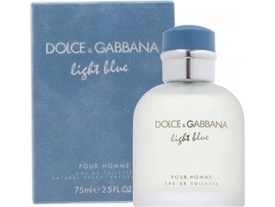 Dolce & Gabbana Light Blue Pour Homme EDT miehelle 75 ml hinta ja tiedot | Miesten hajuvedet | hobbyhall.fi