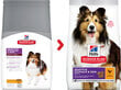 Hill's Science Plan Sensitive Stomach & Skin Medium Adult koiranruoka kana, 2,5 kg hinta ja tiedot | Koiran kuivaruoka | hobbyhall.fi