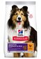 Hill's Science Plan Sensitive Stomach & Skin Medium Adult koiranruoka kana, 2,5 kg hinta ja tiedot | Koiran kuivaruoka | hobbyhall.fi