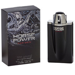 Linn Young Horse Power EDT mihelle 100 ml hinta ja tiedot | Miesten hajuvedet | hobbyhall.fi