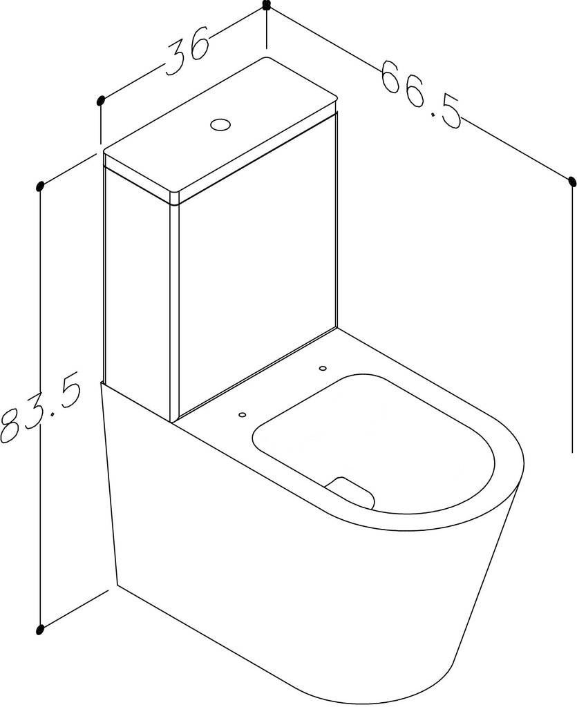 Lattiaan asennettava WC-istuin huuhtelusäiliöllä hinta ja tiedot | WC-istuimet | hobbyhall.fi