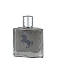 Hajuvesi Real Time Racing Horse Platinium EDT miehille 100 ml hinta ja tiedot | Miesten hajuvedet | hobbyhall.fi