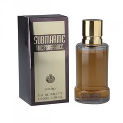 Real Time Submarine The Fragrance For Men EDT mihelle 100 ml hinta ja tiedot | Miesten hajuvedet | hobbyhall.fi