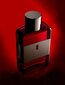 Antonio Banderas The Secret Temptation EDT miehille 50 ml hinta ja tiedot | Miesten hajuvedet | hobbyhall.fi