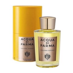 tuoksu Acqua Di Parma Colonia Intensa EDC miehille, 20 ml hinta ja tiedot | Acqua Di Parma Hajuvedet ja tuoksut | hobbyhall.fi