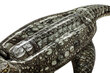 Puhallettava uima krokotiili kahvalla 193 x 94 cm hinta ja tiedot | Puhallettavat vesilelut ja uima-asusteet | hobbyhall.fi