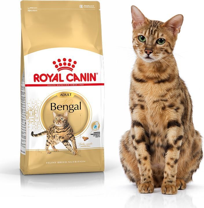 Royal Canin Adult täysikasvuisille bengalikissoille, 2 kg hinta ja tiedot | Kissan kuivaruoka | hobbyhall.fi