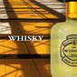 Evaflor Whisky For Men EDT mihelle 100 ml hinta ja tiedot | Miesten hajuvedet | hobbyhall.fi