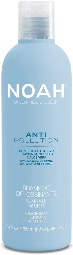 Shampoo aloe Noah Detox Anti Pollution 250ml hinta ja tiedot | Shampoot | hobbyhall.fi