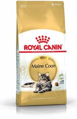 Royal Canin Maine-kissarodulle, 4 kg hinta ja tiedot | Kissan kuivaruoka | hobbyhall.fi