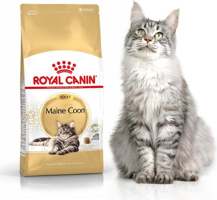 Royal Canin Maine-kissarodulle, 4 kg hinta ja tiedot | Kissan kuivaruoka | hobbyhall.fi