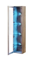 Cama Meble Vigo 180 -vitriinikaappi, 40 x 30 x 180 cm, ruskea hinta ja tiedot | Vitriinit | hobbyhall.fi