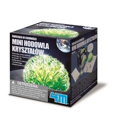 4M Glow Crystal Growing Creative Kit hinta ja tiedot | 4M Lapset | hobbyhall.fi