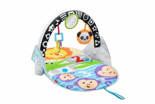 Leikkimatto ”Pakkaa ja kuljeta” Fisher Hinta hinta ja tiedot | Fisher Price Lapset | hobbyhall.fi