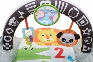 Leikkimatto ”Pakkaa ja kuljeta” Fisher Hinta hinta ja tiedot | Fisher Price Lapset | hobbyhall.fi