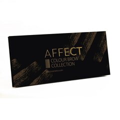 Väripaletti kulmakarvoille Affect Collection 2 10 x 2 g hinta ja tiedot | Kulmavärit ja kulmakynät | hobbyhall.fi
