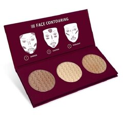 Kasvojen muotoilupaletti Affect Contour Palette 3 x 6 g hinta ja tiedot | Meikkivoiteet ja puuterit | hobbyhall.fi