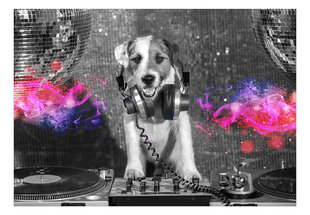 Tapetti DJ Dog hinta ja tiedot | Valokuvatapetit | hobbyhall.fi