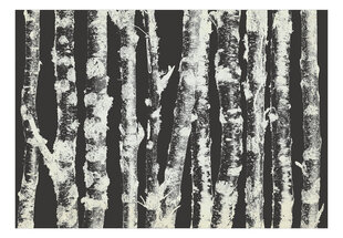 Tapetti Stately Birches - Second Variant hinta ja tiedot | Valokuvatapetit | hobbyhall.fi