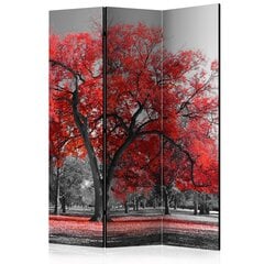 Sermi Autumn in the Park [Room Dividers] hinta ja tiedot | Sermit ja tilanjakajat | hobbyhall.fi