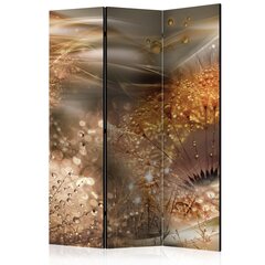 Sermi Dandelions World [Room Dividers] hinta ja tiedot | Sermit ja tilanjakajat | hobbyhall.fi