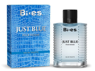 Miesten Hajuvesi Bi-es Just Blue EDT 100ml hinta ja tiedot | Bi-es Hajuvedet ja kosmetiikka | hobbyhall.fi