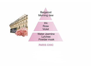 Maison Berger Paris Chic Paris, 500 ml hinta ja tiedot | Huonetuoksut | hobbyhall.fi