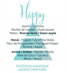 Maison Berger Paris Aroma Happy Fraicheur Aquatique, 200 ml hinta ja tiedot | Huonetuoksut | hobbyhall.fi