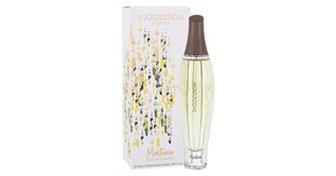 Montana Suggestion Pour Lui EDT miehelle 100 ml hinta ja tiedot | Miesten hajuvedet | hobbyhall.fi