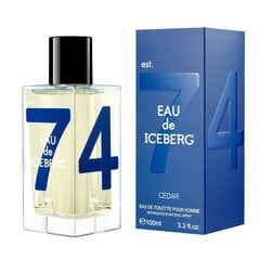 Hajuvesi Iceberg Eau de Iceberg Cedar EDT miehille 100 ml hinta ja tiedot | Iceberg Hajuvedet ja tuoksut | hobbyhall.fi