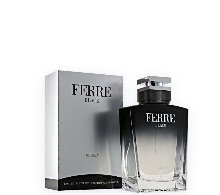 Hajuvesi Gianfranco Ferre Ferre Black EDT miehille, 30 ml hinta ja tiedot | Miesten hajuvedet | hobbyhall.fi