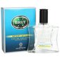 Hajuvesi Brut Sport Style EDT miehille 100 ml hinta ja tiedot | Miesten hajuvedet | hobbyhall.fi