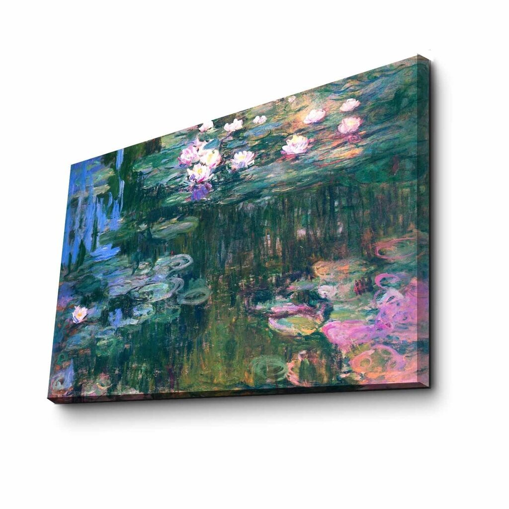 Taulu Lumpeet (Claude Monet) hinta ja tiedot | Taulut | hobbyhall.fi