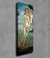 Jäljennös teoksesta Venuksen syntymä (Sandro Botticelli) hinta ja tiedot | Taulut | hobbyhall.fi