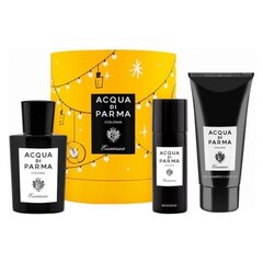 Setti Acqua di Parma Colonia Essenza EDC 100ml+Deo 50ml+suihkugeeli 75ml hinta ja tiedot | Miesten hajuvedet | hobbyhall.fi