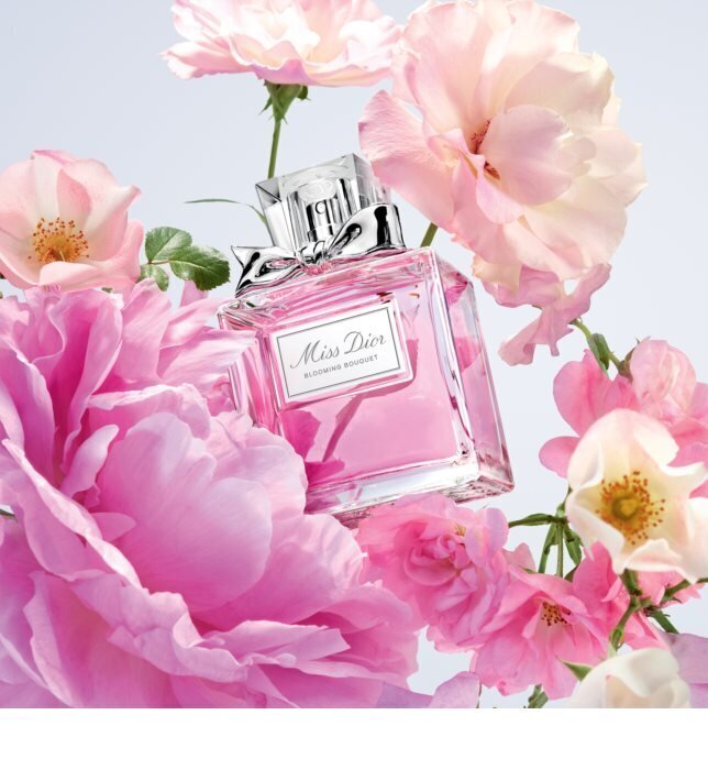 Hajuvesi Christian Dior Miss Dior Rose N'Roses EDT naisille 30 ml hinta ja tiedot | Naisten hajuvedet | hobbyhall.fi