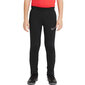 Nike Dri-FIT Academy lasten urheiluhousut CW6124 010, musta hinta ja tiedot | Jalkapallovaatteet ja -varusteet | hobbyhall.fi